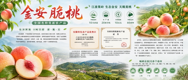 案例图片