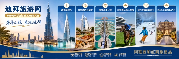 案例图片