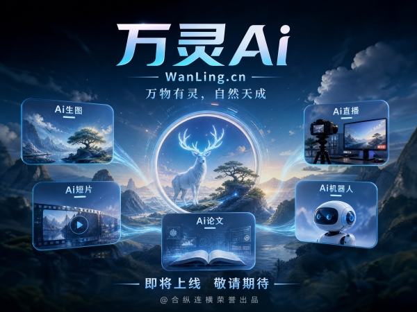 案例图片