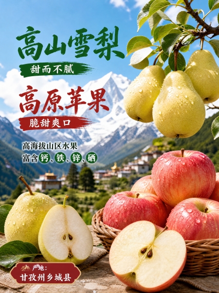案例图片